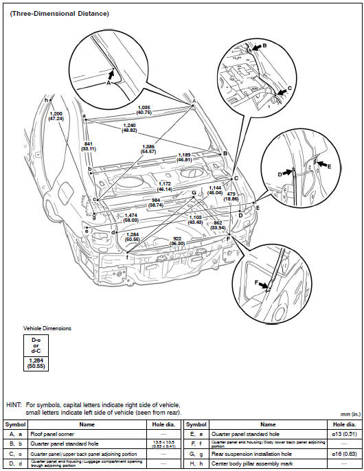 Body opening areas (rear view)