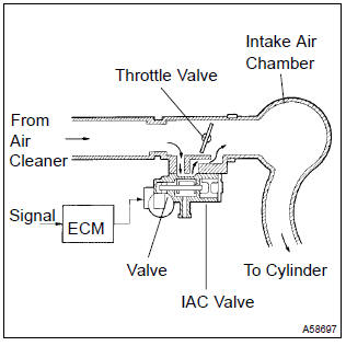 The rotary solenoid type idle air control (iac) valve is located